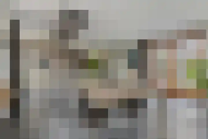 Nienke van Hichtumweg 81 Heerenveen thumbnail 24