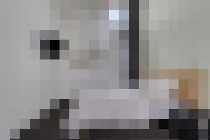 Nienke van Hichtumweg 81 Heerenveen thumbnail 33