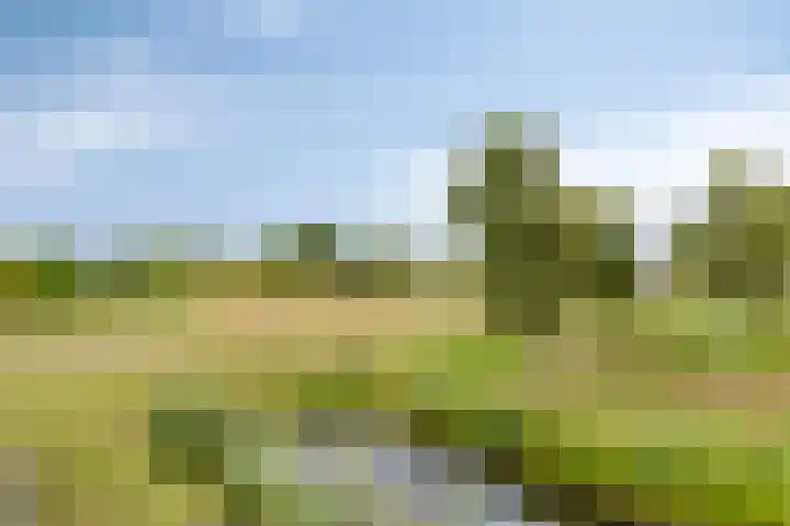 Nienke van Hichtumweg 81 Heerenveen thumbnail 37