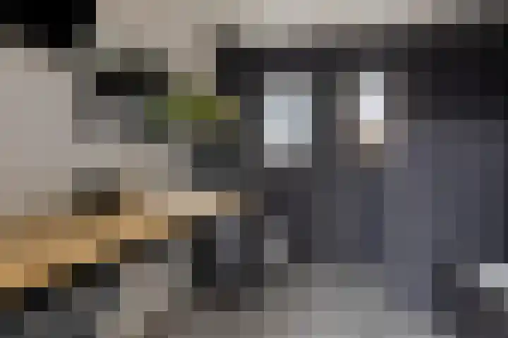Nienke van Hichtumweg 81 Heerenveen thumbnail 38