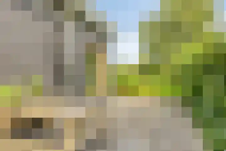 Nienke van Hichtumweg 81 Heerenveen thumbnail 54