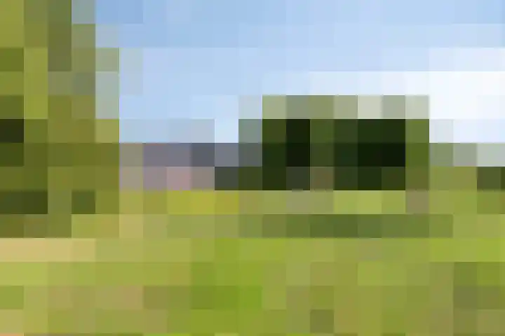 Nienke van Hichtumweg 81 Heerenveen thumbnail 62