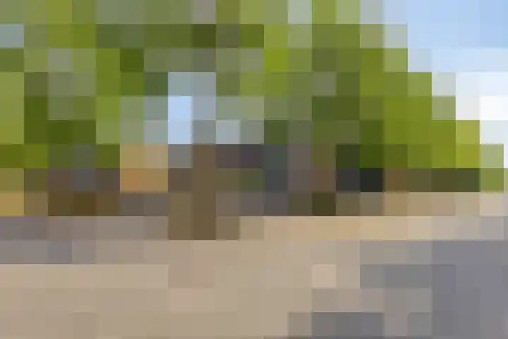 Nienke van Hichtumweg 81 Heerenveen thumbnail 63