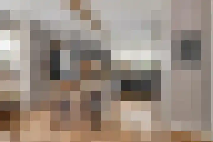 Nienoord 13 Zeewolde thumbnail 16