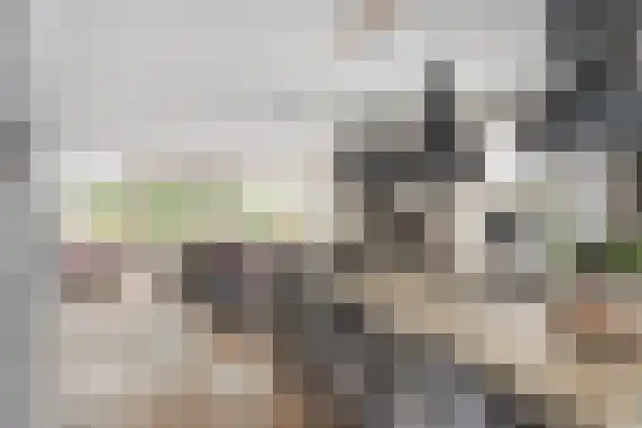 Nienoord 13 Zeewolde thumbnail 20