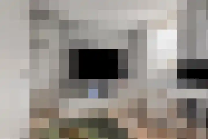 Nienoord 13 Zeewolde thumbnail 23