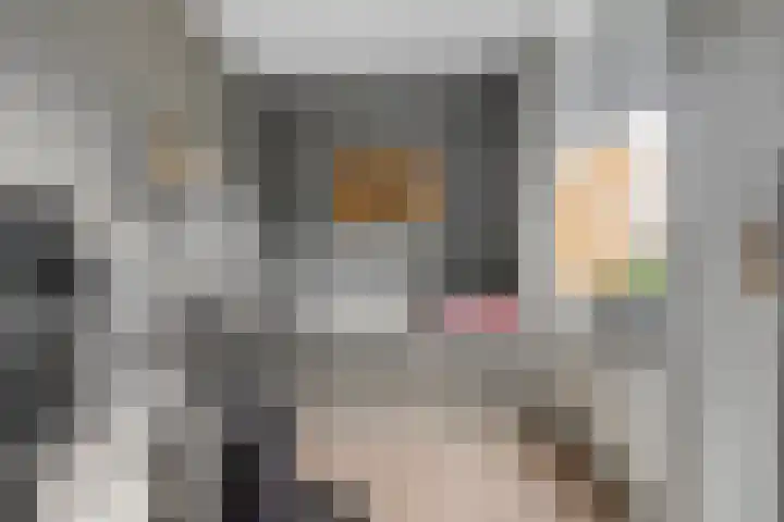 Nienoord 13 Zeewolde thumbnail 24