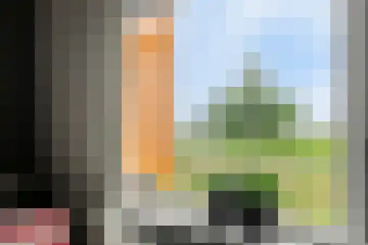 Nienoord 13 Zeewolde thumbnail 26