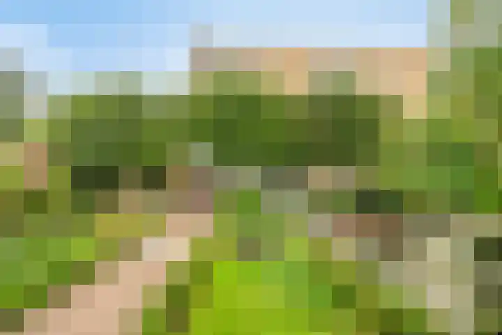 Nienoord 13 Zeewolde thumbnail 34