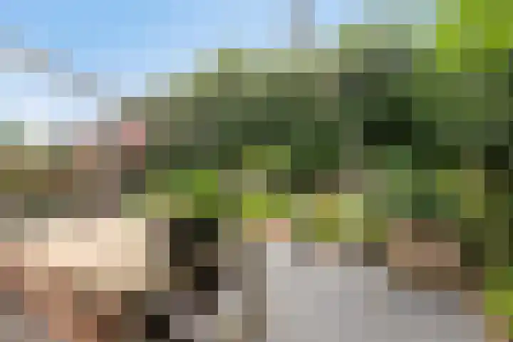 Nienoord 13 Zeewolde thumbnail 36