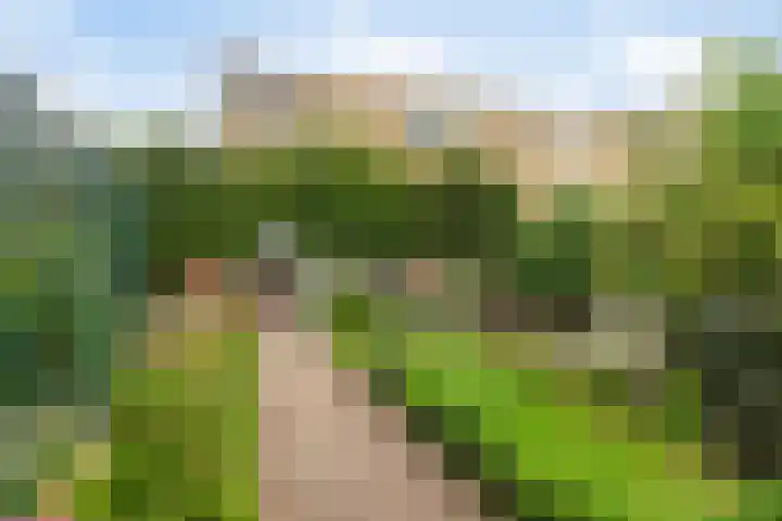 Nienoord 13 Zeewolde thumbnail 38