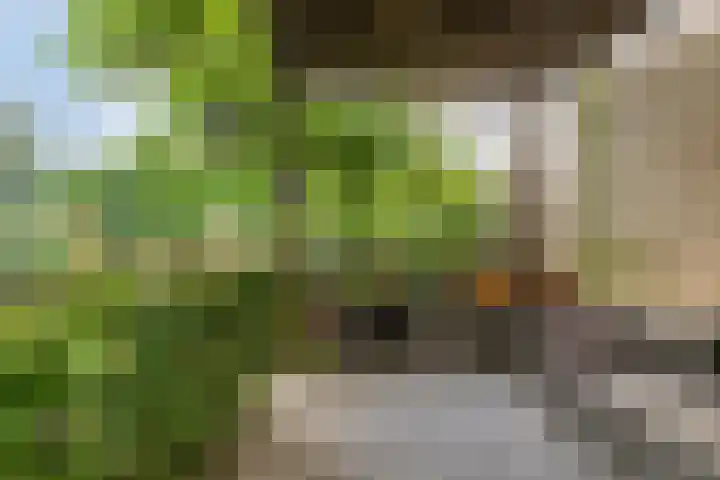Nienoord 13 Zeewolde thumbnail 39