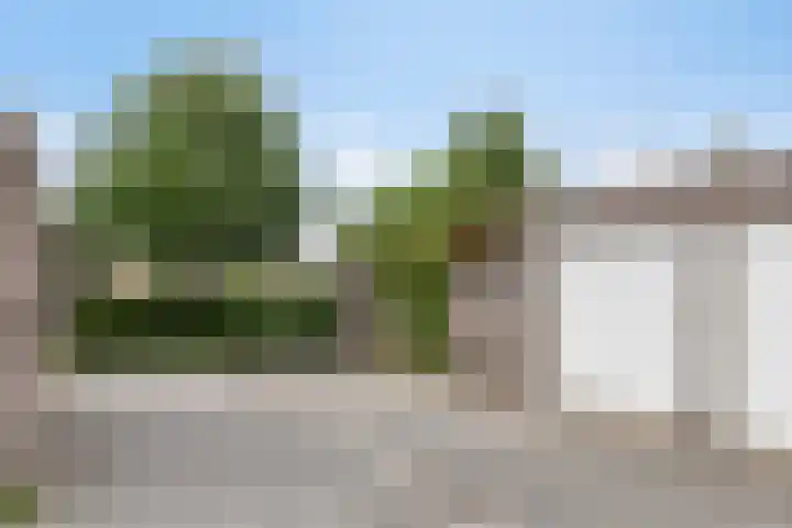 Nienoord 13 Zeewolde thumbnail 40