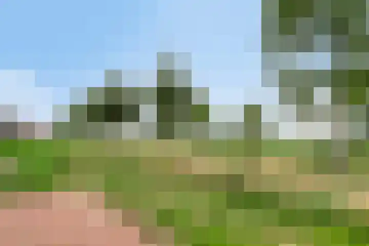 Nienoord 13 Zeewolde thumbnail 42