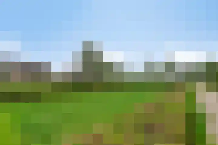 Nienoord 13 Zeewolde thumbnail 43