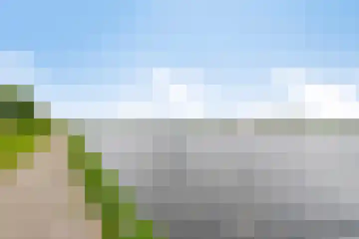 Nienoord 13 Zeewolde thumbnail 44