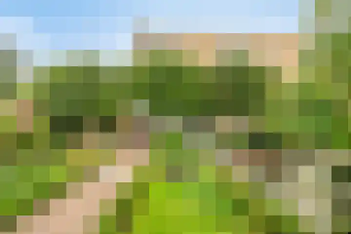 Nienoord 13 Zeewolde thumbnail 8