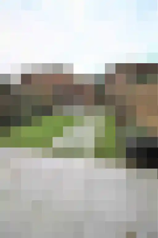Nienoord 20 Lelystad thumbnail 29