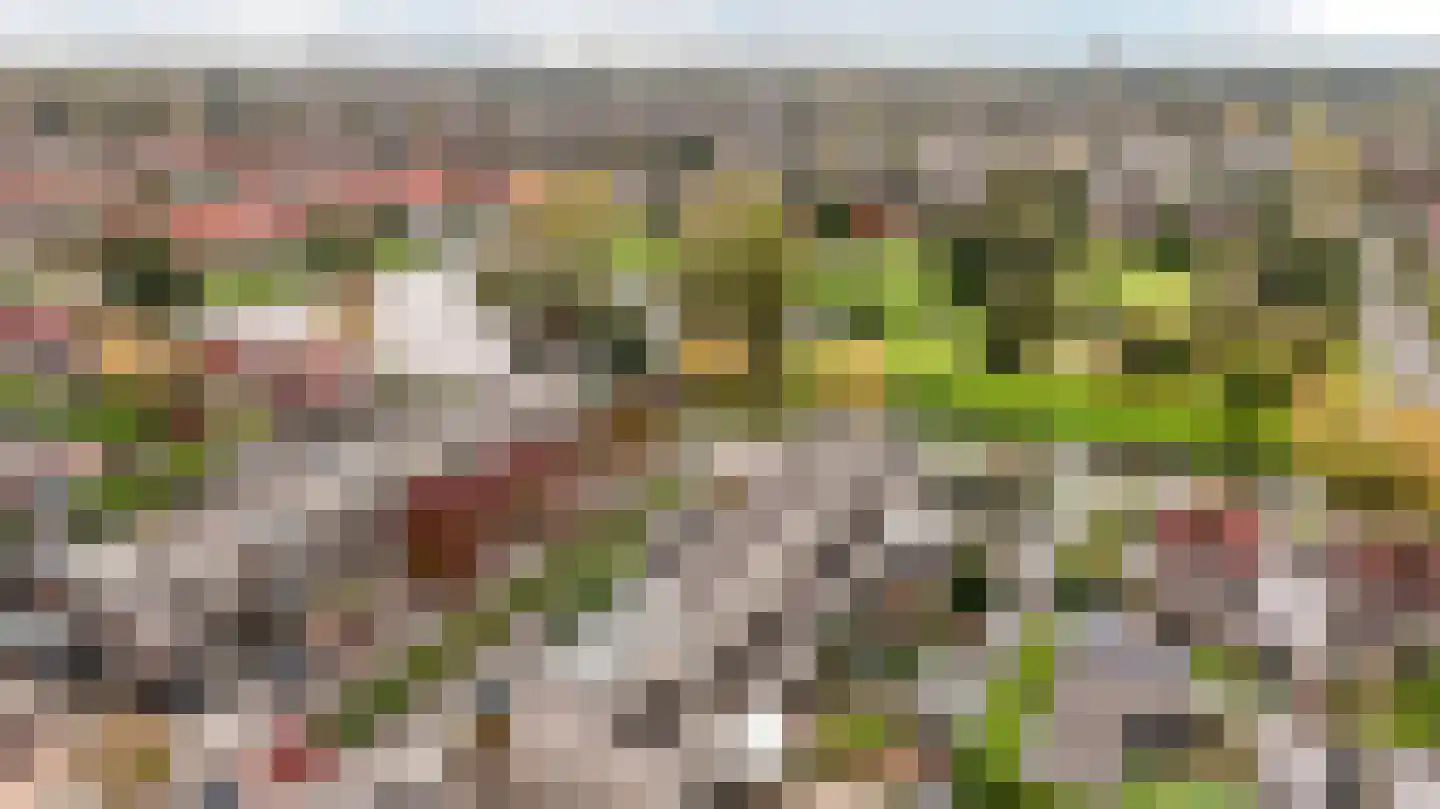 Nienoord 34 Lelystad thumbnail 7
