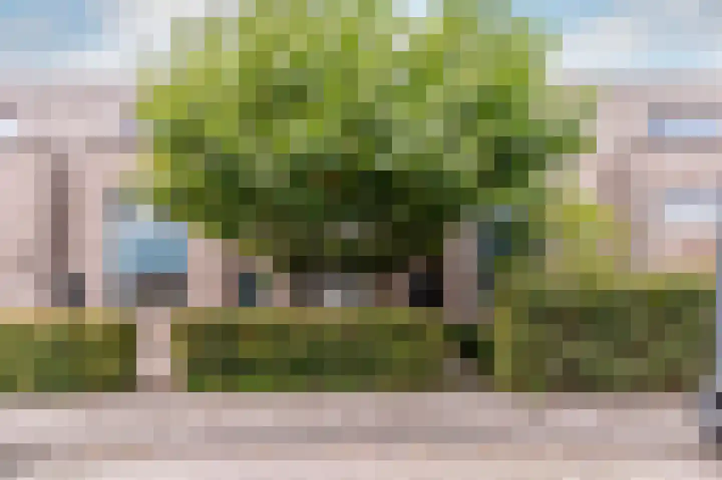 Nienoord 34 Lelystad thumbnail 8