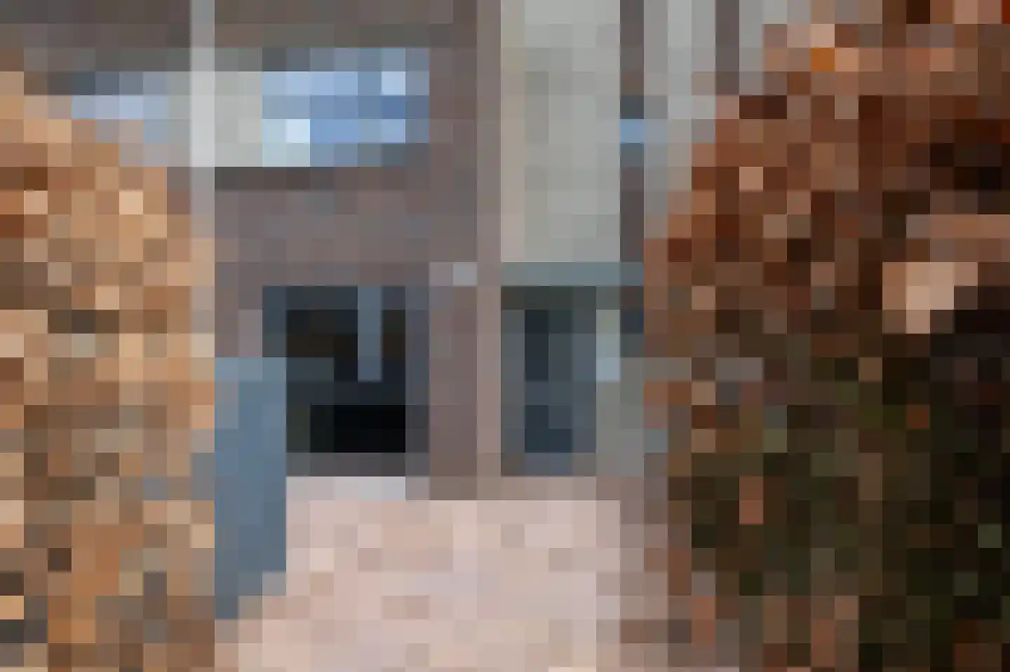 Nienoord 37 Lelystad thumbnail 35