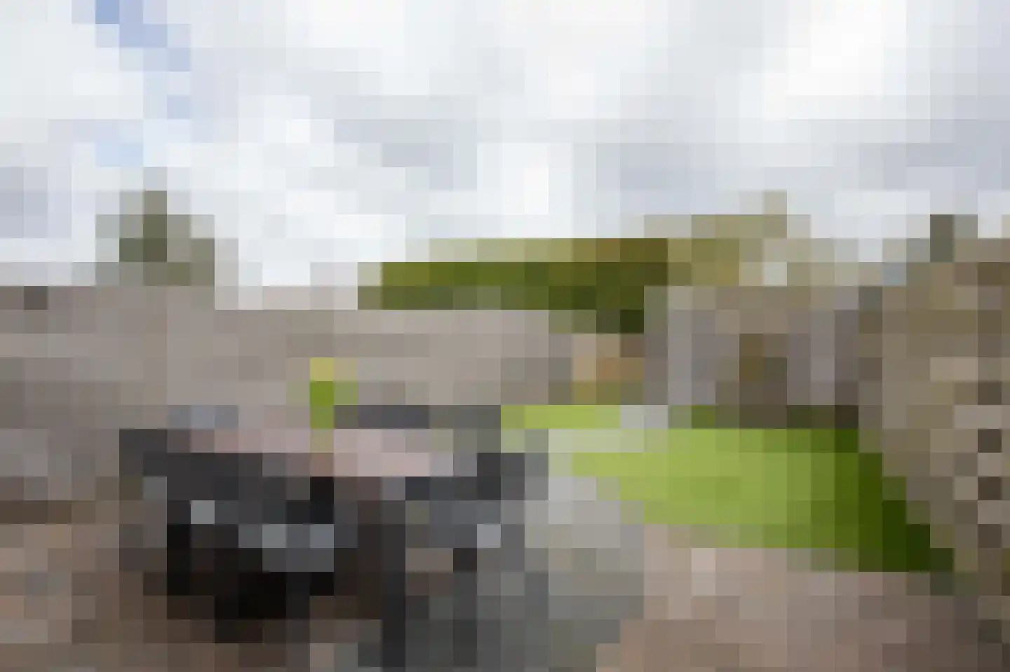 Nienoord 37 Lelystad thumbnail 5