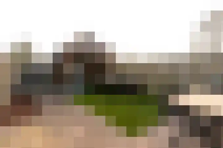 Nienoord 41 Lelystad thumbnail 6