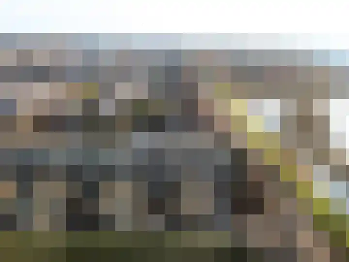 Nienoord 41 Lelystad thumbnail 7