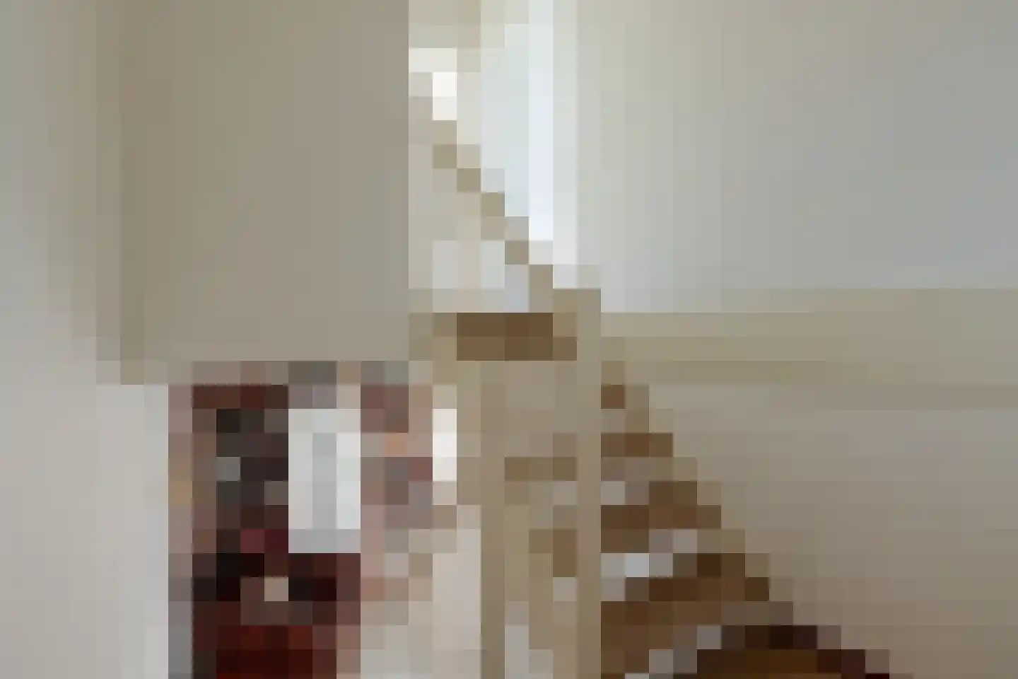 Nienoordshaven 17 Leek thumbnail 20