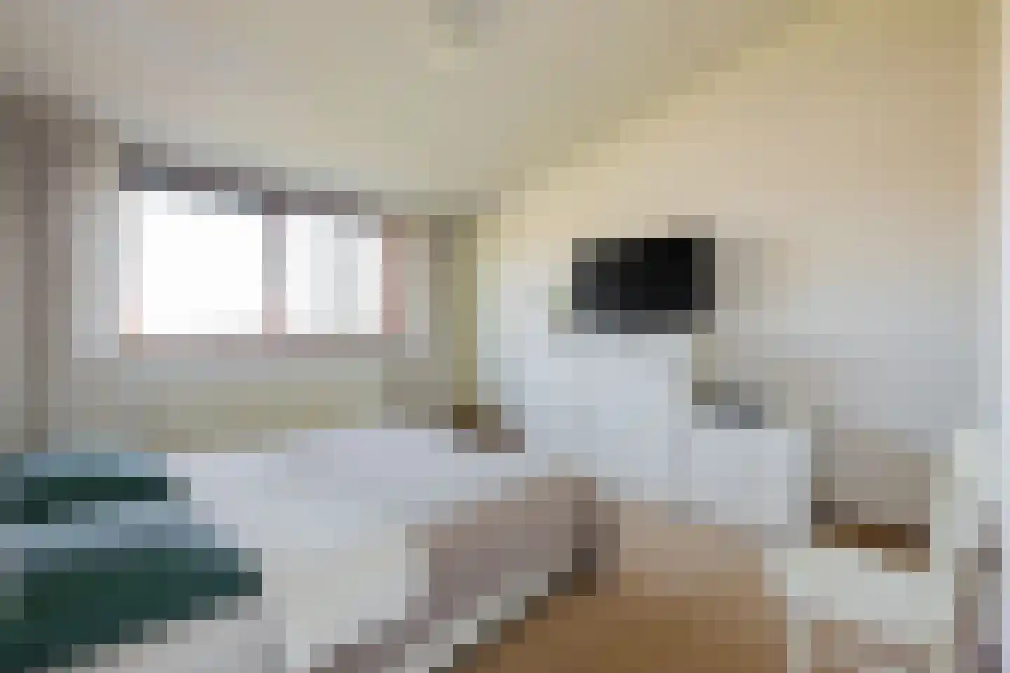 Nienoordshaven 17 Leek thumbnail 22