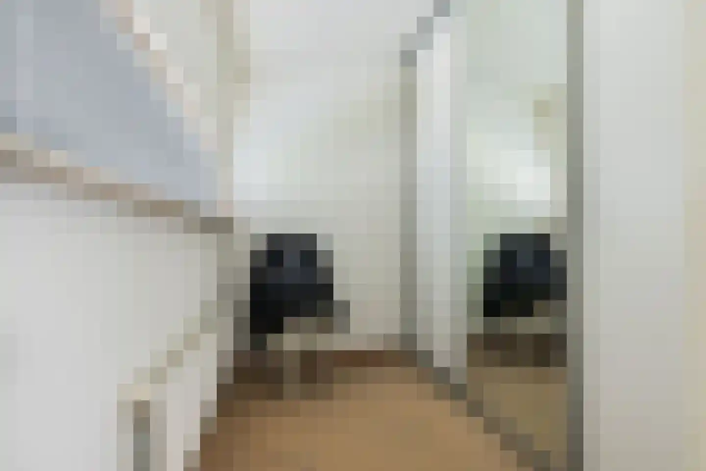 Nienoordshaven 17 Leek thumbnail 23