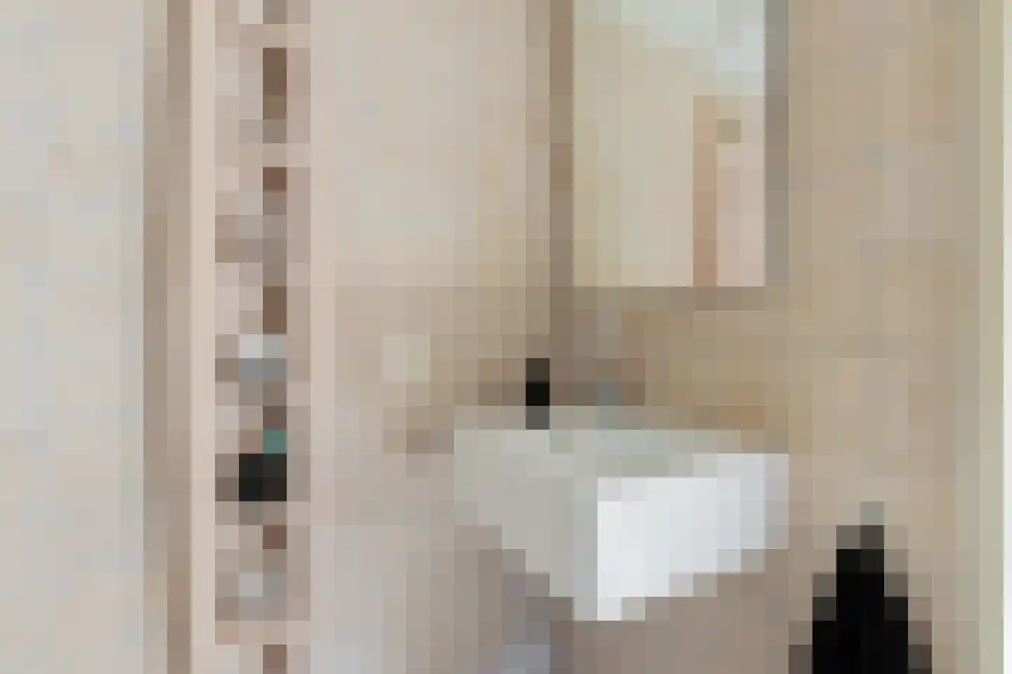 Nienoordshaven 17 Leek thumbnail 42