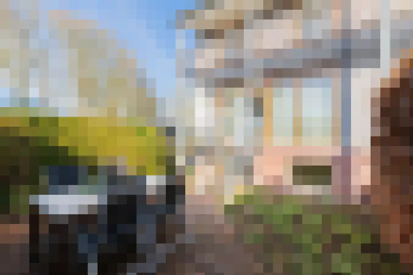 Nienoordshaven 17 Leek thumbnail 46