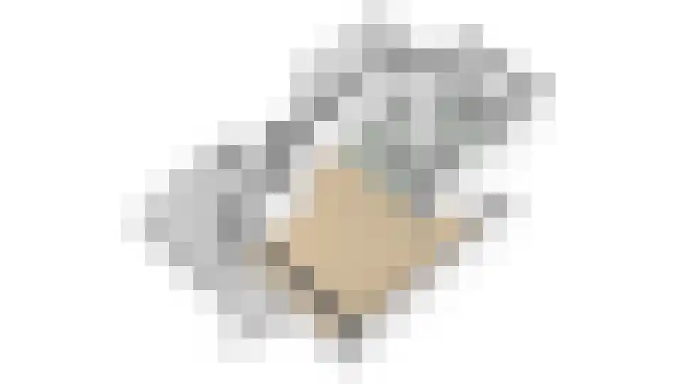 Nienoordshaven 17 Leek thumbnail 62