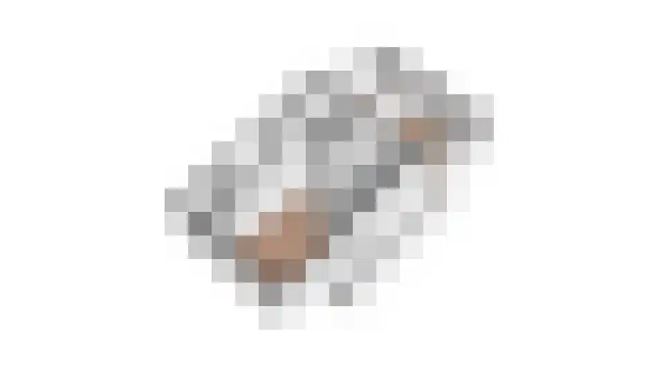 Nienoordshaven 17 Leek thumbnail 66