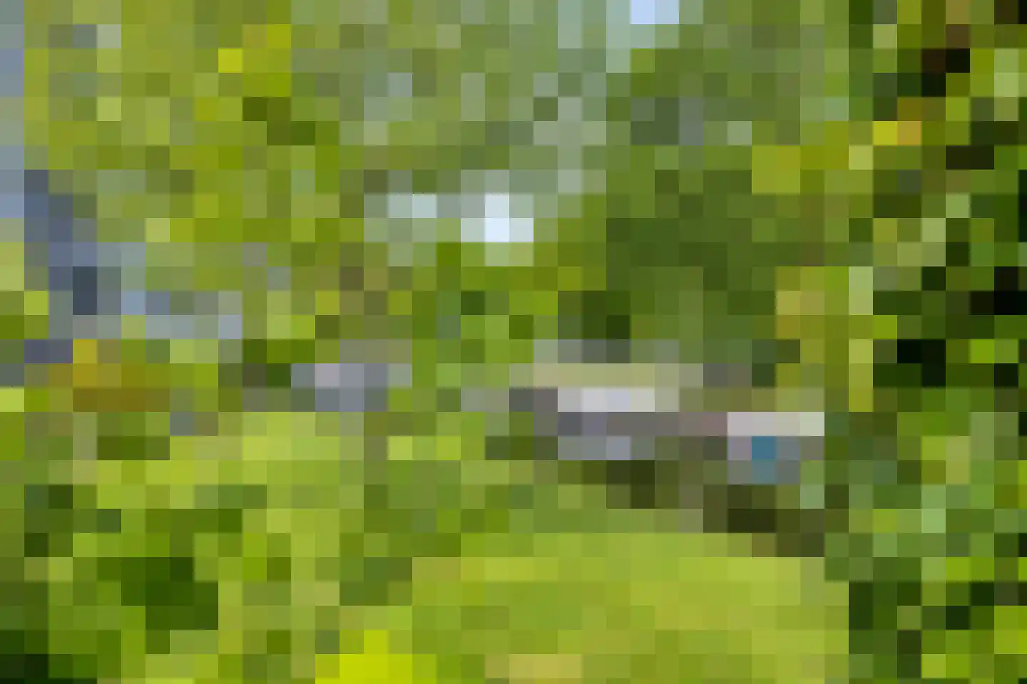 Nienoordshaven 19 Leek thumbnail 11