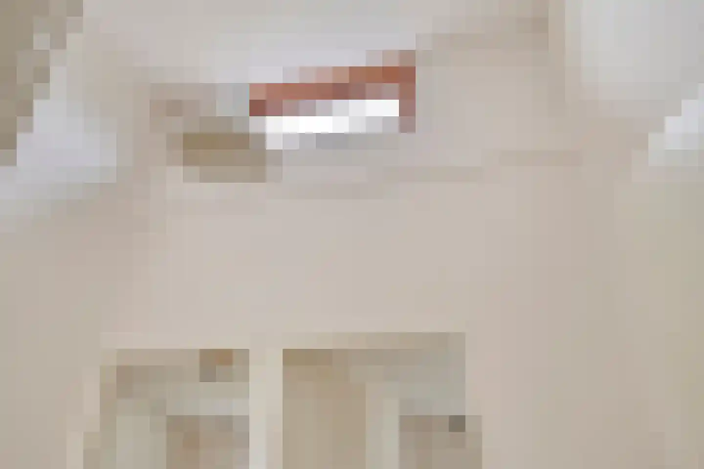 Nienoordshaven 19 Leek thumbnail 22