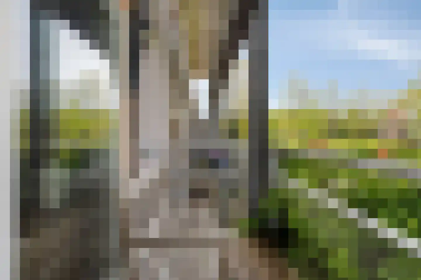 Nienoordshaven 19 Leek thumbnail 34