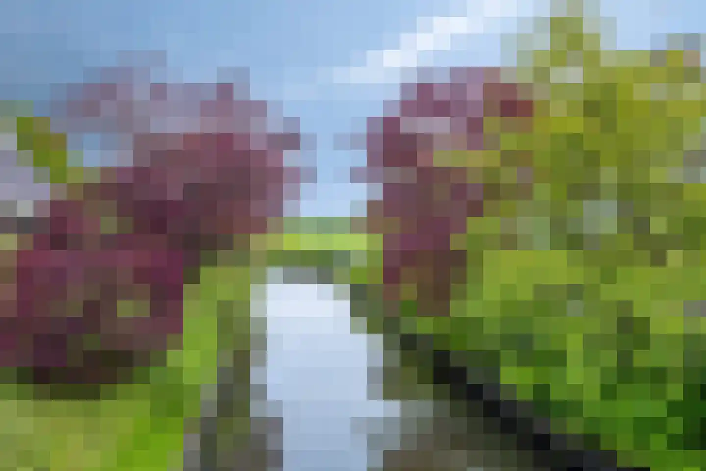 Nienoordshaven 19 Leek thumbnail 41