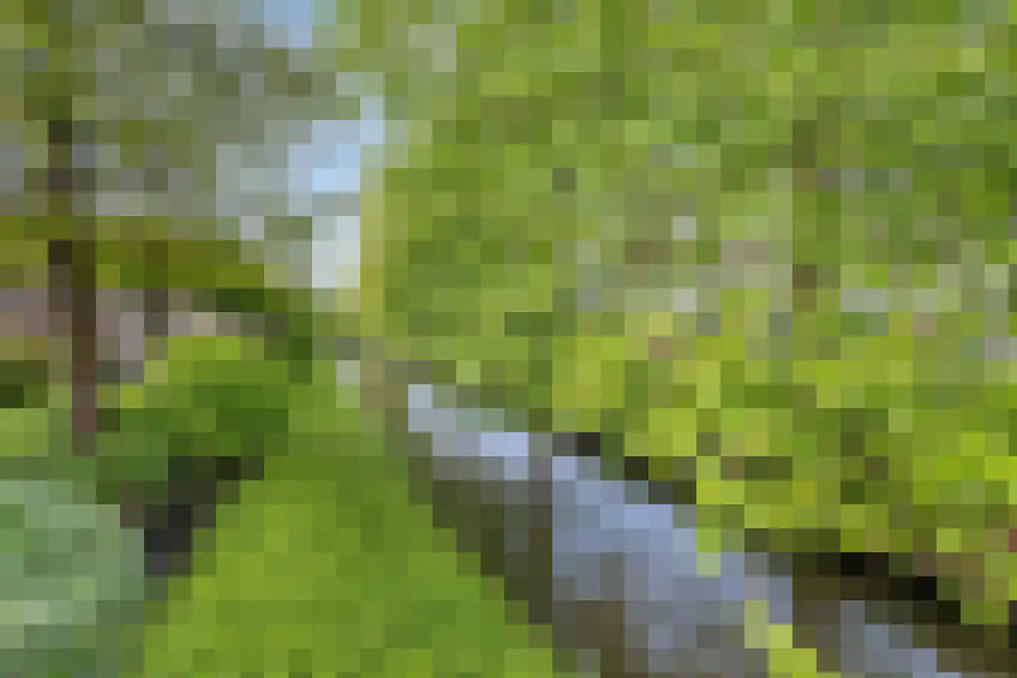 Nienoordshaven 19 Leek thumbnail 42