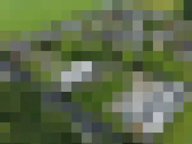 Nienoordshaven 19 Leek thumbnail 48