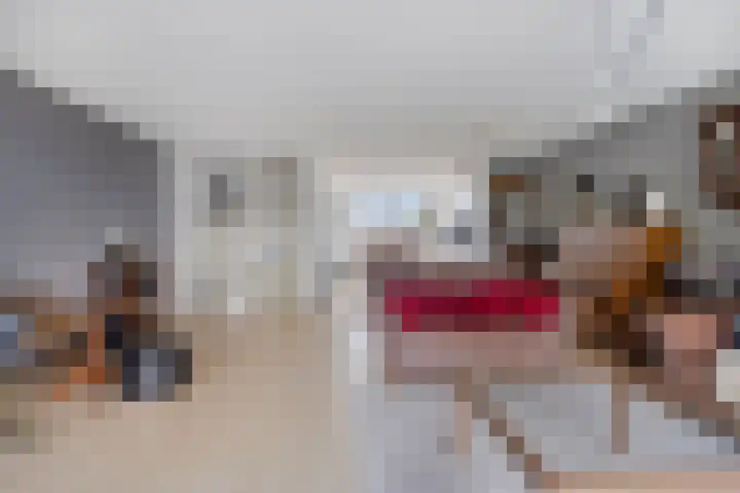 Nienoordshaven 19 Leek thumbnail 7