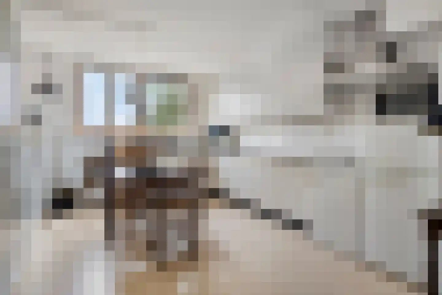 Nienoordshaven 19 Leek thumbnail 8