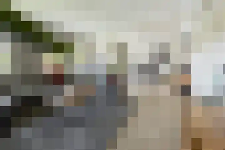 Nienoordshaven 39 Leek thumbnail 11