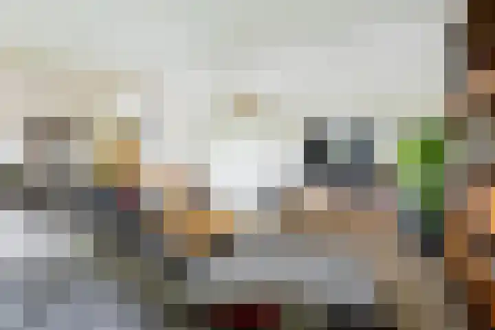 Nienoordshaven 39 Leek thumbnail 12