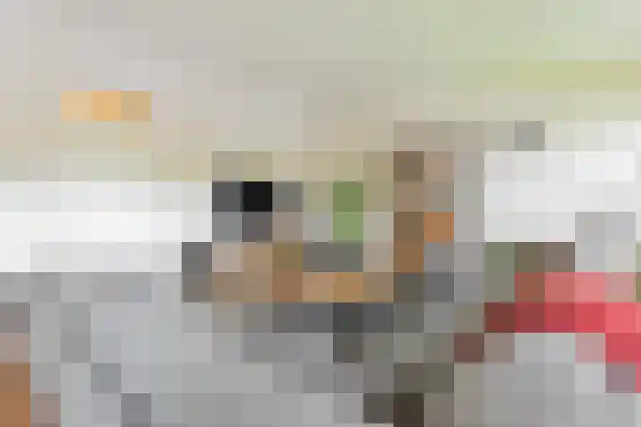Nienoordshaven 39 Leek thumbnail 13