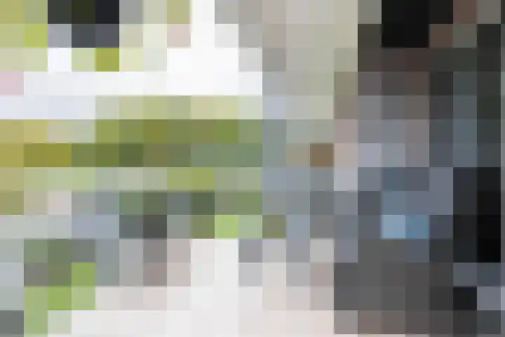 Nienoordshaven 39 Leek thumbnail 16