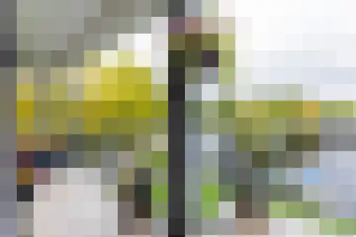 Nienoordshaven 39 Leek thumbnail 17