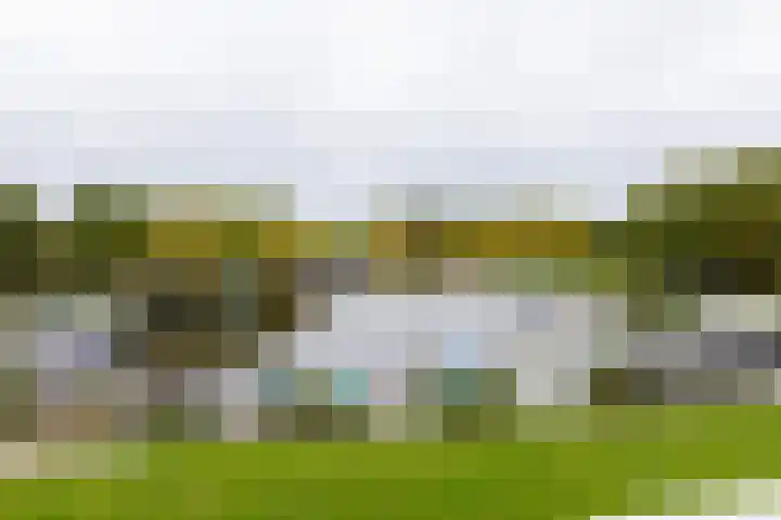 Nienoordshaven 39 Leek thumbnail 18