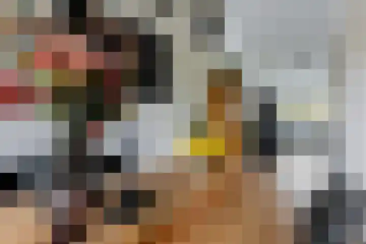 Nienoordshaven 39 Leek thumbnail 19